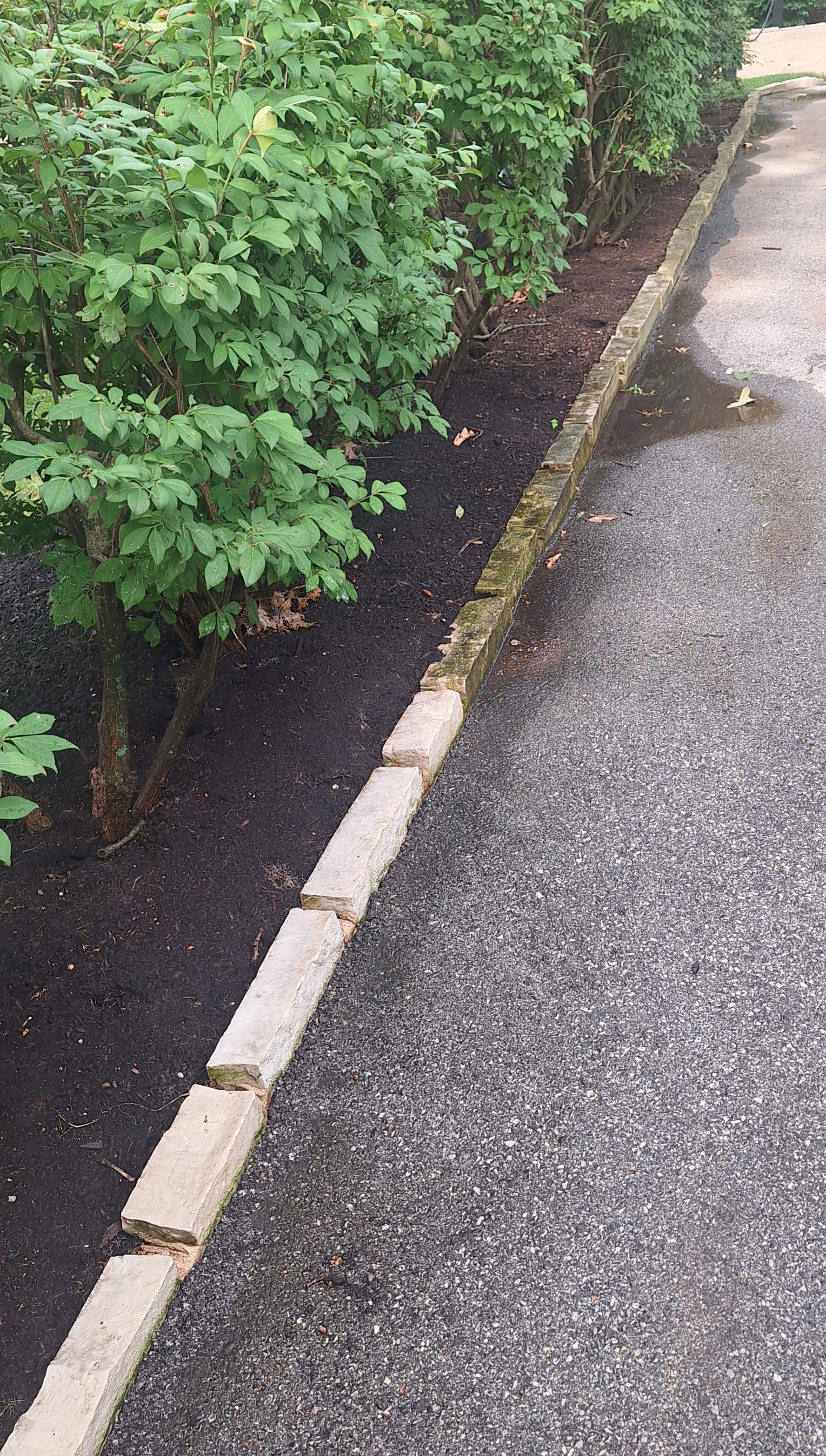 Concrete cleaning