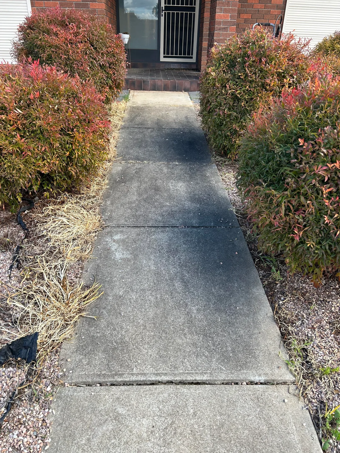 Sidewalk before cleaning