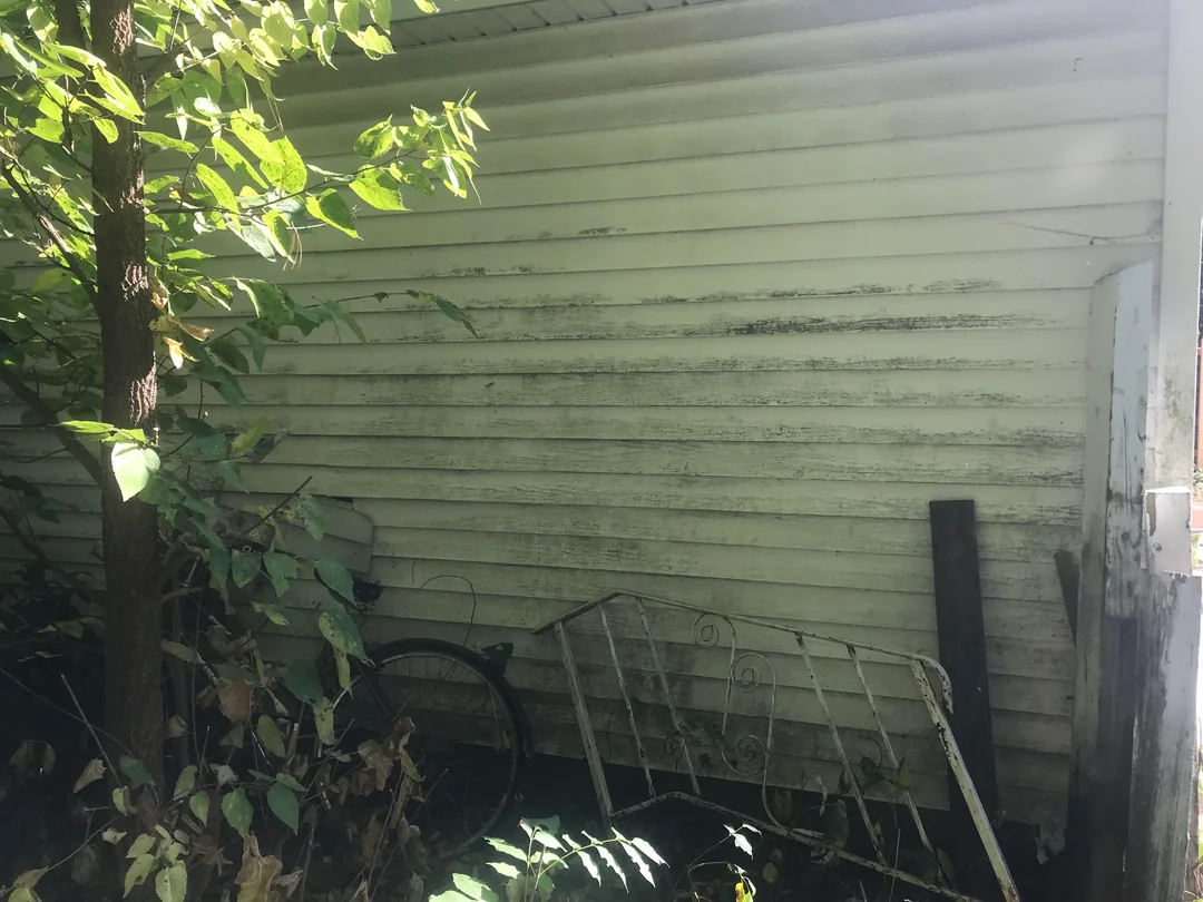 Vinyl siding with mildew and stains before soft washing